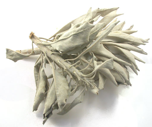 Sage Leaf