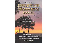 Absolutely Effortless Prosperity Book III by Bijan Anjomi