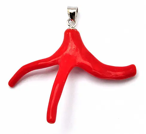 AKA Red Coral Pendant with 18inch 925 Silver Necklace