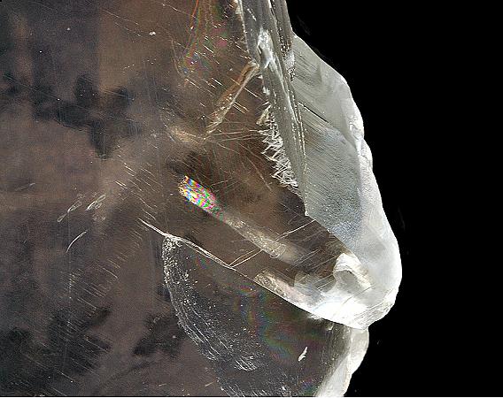 Clear Natural Selenite Crystal including Wooden Stand