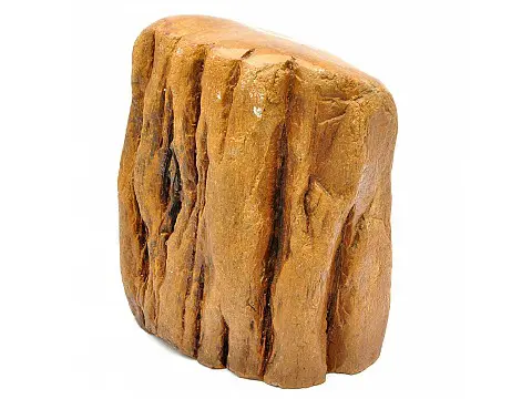 Petrified Wood