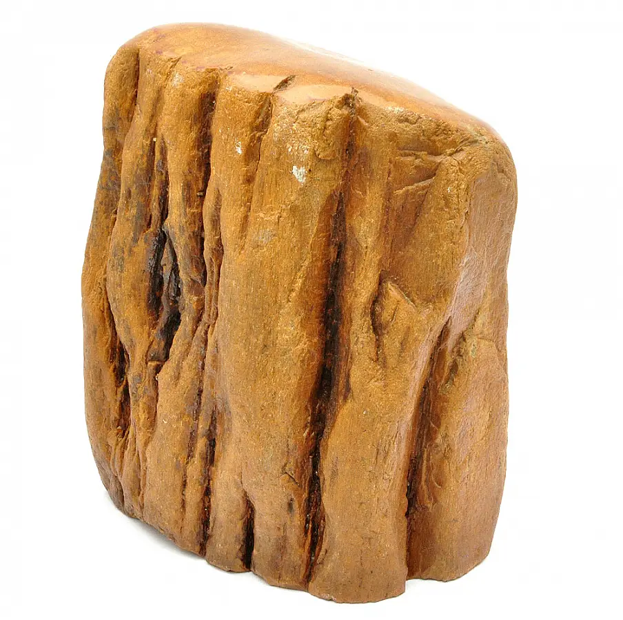 Petrified Wood