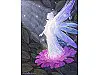 Fae Flower Fae Flower