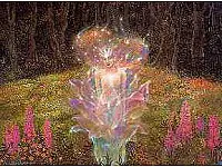 Awakening Flora Awakening Flora