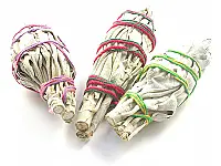 白鼠尾草杖 白鼠尾草杖